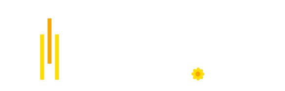 einlegerdruck.de